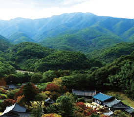 황악산 전경