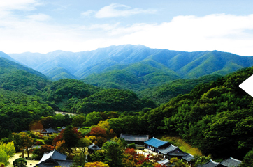 황악산 전경