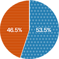공무원 현원의 남녀 비율을 나타낸 그래프 - 남성 53.5%, 여성 46.5%